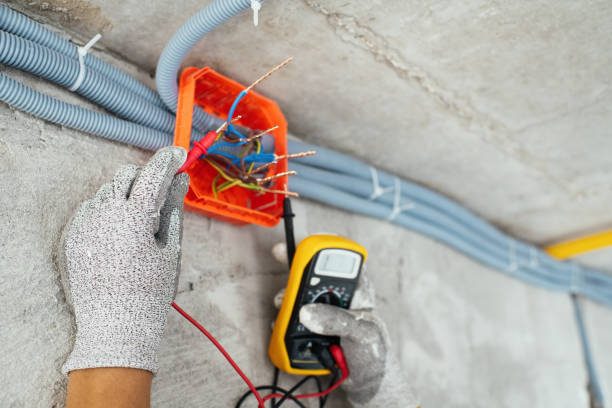 Best Local Electrician Companies  in Lake Katrine, NY